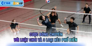 Cược Bóng Chuyền Với Luật Chơi Và 3 Loại Kèo Phổ Biến